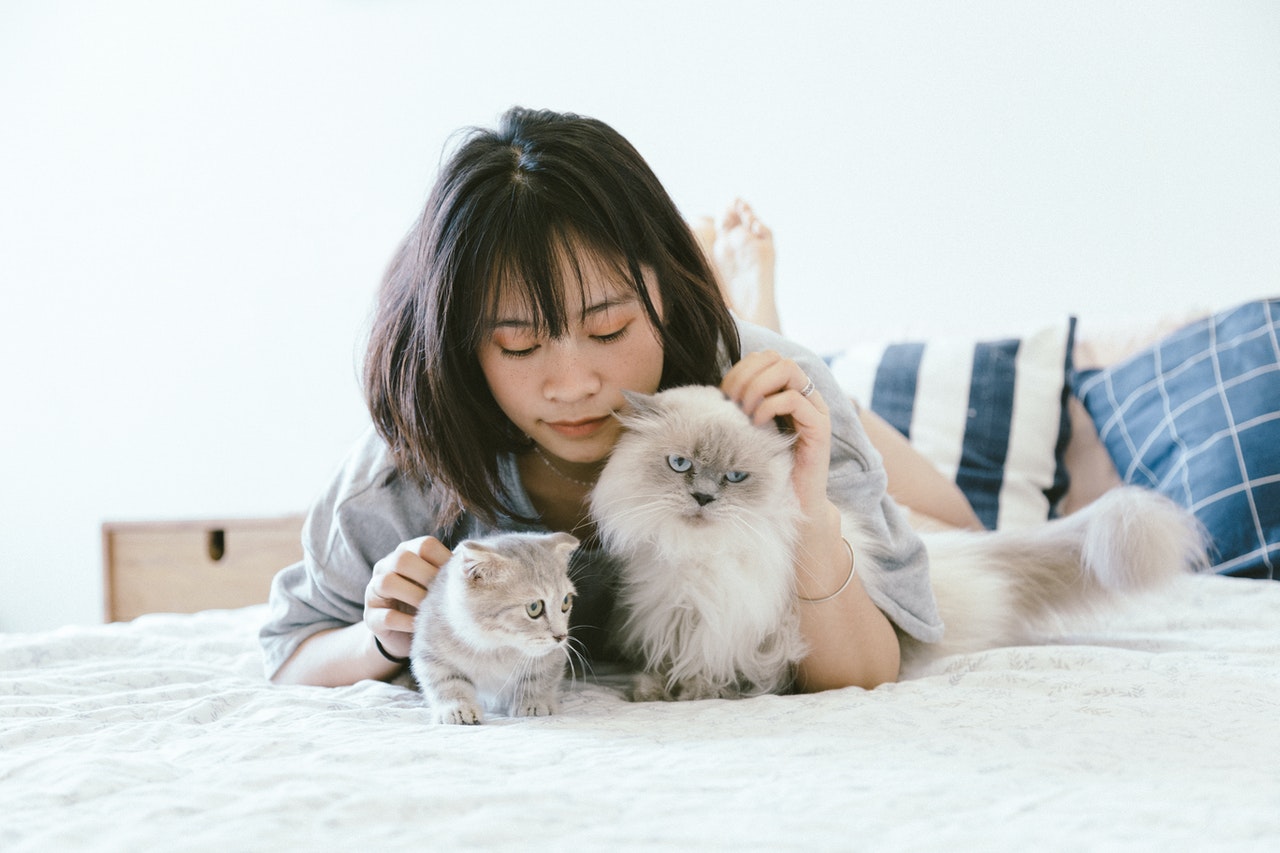 Quel nom dois-je choisir pour mon chat ? Qu'est-ce qui est important ?
