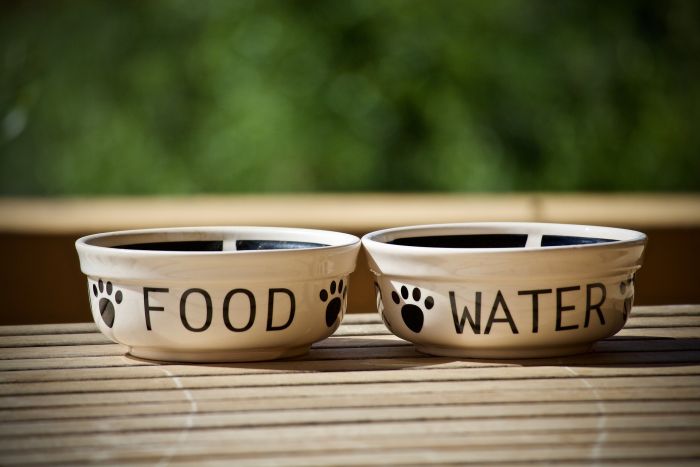 Bols en céramique pour chiens, pour la nourriture et l'eau.