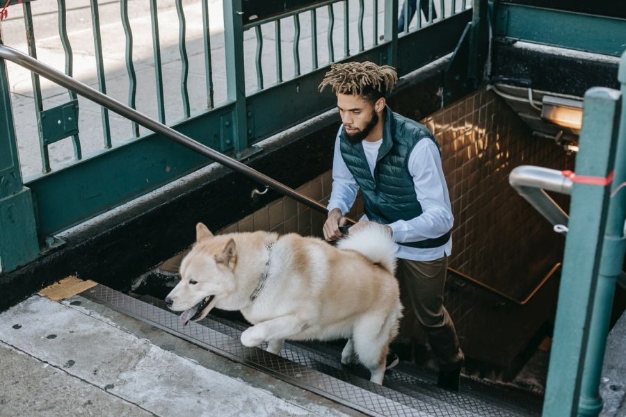 Un gardien et son chien se dépêchent d'attraper un train sur le quai.