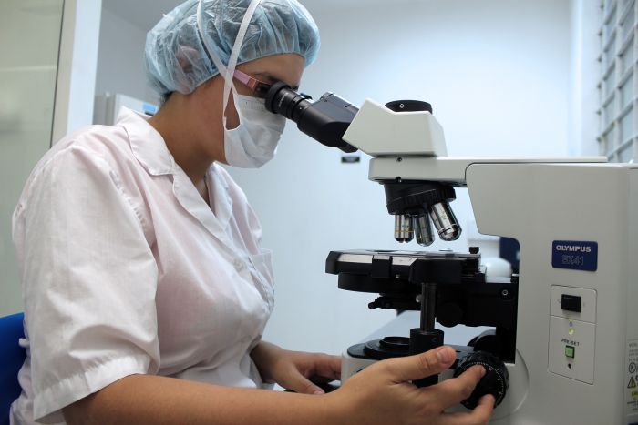 Un technicien de laboratoire examine l'échantillon au microscope.