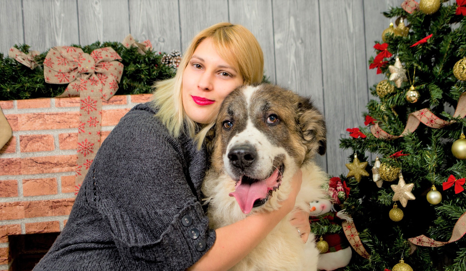 un chien et sa maitresse au pied du sapin de Noel