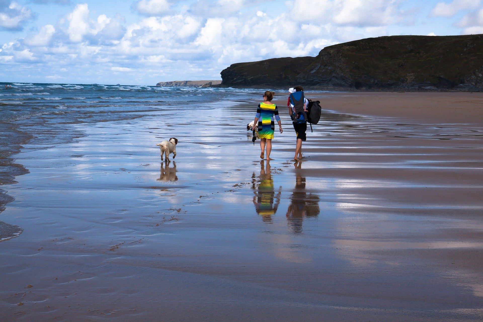 Une sortie en mer avec un chien nécessite une préparation minutieuse en raison de la sécurité de l'animal et du confort des autres vacanciers.