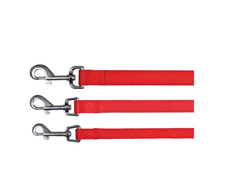 Laisse pour Chien Trixie New Premium Rouge XS/S