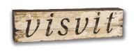 VISVIT logo