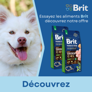 2025-05-21- BRIT - BRAND