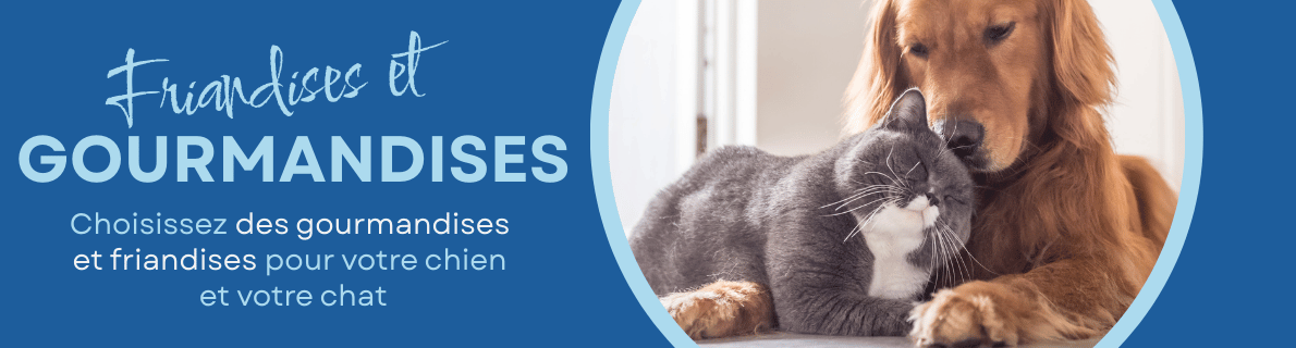 Action FRIANDISES ET GÂTERIES pour chien et chat