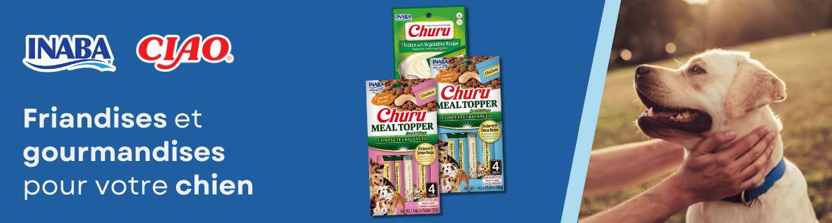 Friandises pour chien