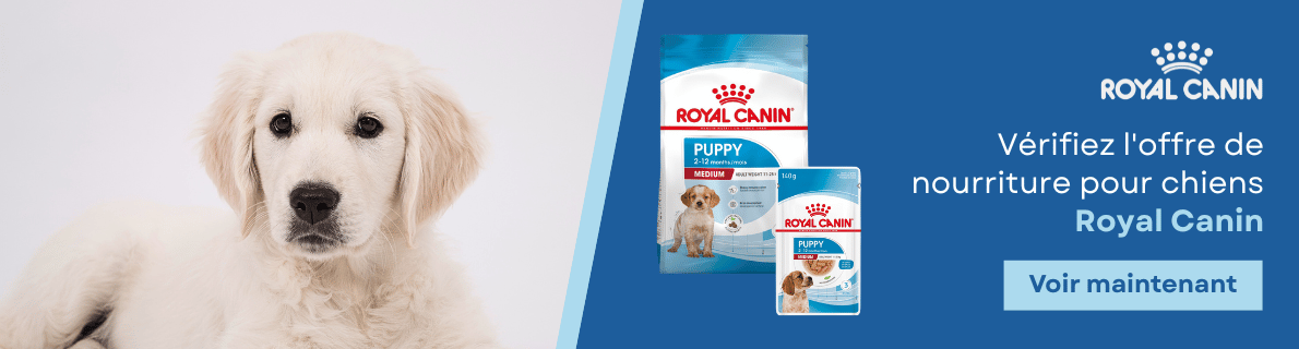 Offre Royal Canin