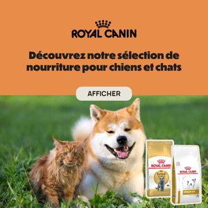 ROYAL CANIN brand