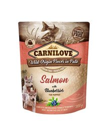 CARNILOVE - Pâtée pour Chien Saumon & Myrtilles - 300 g