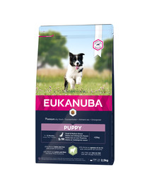 EUKANUBA Eukanuba Dog Puppy Small & Medium Breed Lamb & Rice - pour chiots de petites et moyennes races à base d'agneau et de riz - 2.5 kg
