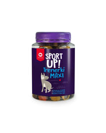 MACED Sport Up Friandises pour chiens Maxi 300 g