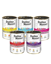 DOLINA NOTECI Premium Junior Saveurs mélangées pour chiots 24x400g