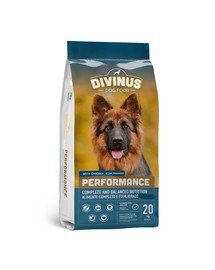 DIVINUS Performance nourriture sèche pour bergers allemands et chiens actifs 20 kg