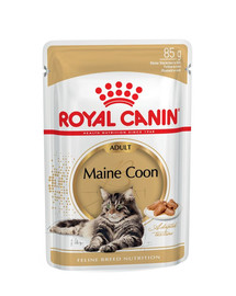 ROYAL CANIN Mainecoon 24x85 g