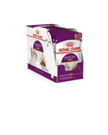 ROYAL CANIN Sensory Smell gravy 24x85 g bouchées en sauce pour chats adultes pour stimuler l'expérience olfactive