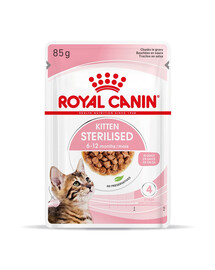 ROYAL CANIN Kitten Sterilised nourriture humide en sauce pour chatons jusqu'à 12 mois, stérilisée 24 x 85 g