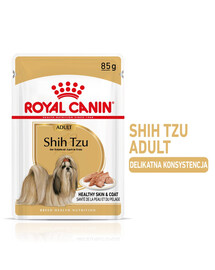 ROYAL CANIN Shih Tzu Adult Loaf nourriture humide 24 x 85 g morceaux en sauce, pour chiens shih tzu adultes