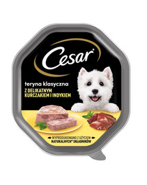 CESAR barquette 14x150 g d'aliments complets humides pour chiens adultes à base de poulet tendre et de dinde