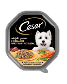 CESAR plateau 150 g nourriture humide complète pour chiens adultes, sauce au poulet, aux légumes et au persil