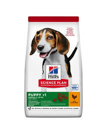 HILL'S Science Plan Canine Puppy Medium Chicken 18 kg de nourriture pour chiot de taille moyenne au poulet + 3 boîtes GRATUITES