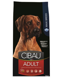 CIBAU Adult Maxi pour chiens adultes de grande race 12 kg