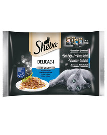 SHEBA Delicacy in Jelly Rybne aliments pour chats adultes "saveurs en gelée" 52x85g
