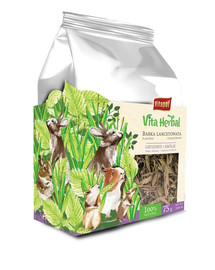 VITAPOL Vita Herbal Plantain pour rongeurs et lapins 75g