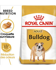 ROYAL CANIN Bulldog Adult croquettes pour chiens bulldogs adultes 24 kg (2 x 12 kg)