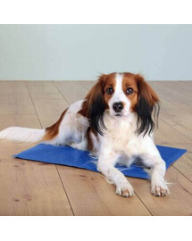 TRIXIE Tapis rafraîchissant 40 × 30 cm bleu