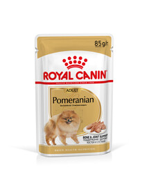 ROYAL CANIN Pomeranian Adult 48x85g nourriture humide, pâté pour chiens adultes mini spitz