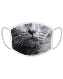 FERA Masque de protection British Shorthair Cat