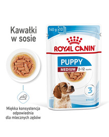 ROYAL CANIN Medium Puppy Aliment humide pour chiots jusqu'à 12 mois 40x140 g