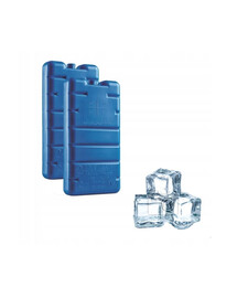 CURVER Ice Pack Insert pour réfrigérateur de voyage 2 pièces