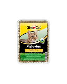 GIMCAT HydroGrass - gazon avec hydro-granulés dans un conteneur - 150 g