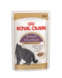 ROYAL CANIN British Shorthair - nourriture humide en sauce pour chats adultes de race British Shorthair  - 48x85 g