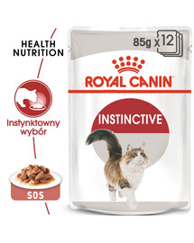 ROYAL CANIN Instinctive - Nourriture humide pour chats adultes difficiles - 48x85 g
