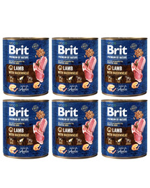 BRIT Premium by Nature - nourriture naturelle pour chiens à base d'agneau et de sarrasin - 6x800 g