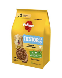 PEDIGREE Junior 2,6 kg avec volaille et légumes pour chiens adolescents de grandes et moyennes races
