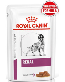 ROYAL CANIN Veterinary Diet Canine Renal 48 x 100g