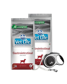 FARMINA Vet Life Gastrointestinal Dog - Nourriture pour chiens souffrant de troubles digestifs - 12 kg + FLEXI Laisse New Comfort L 8 m OFFERTE