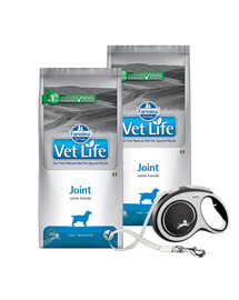 FARMINA Vet Life Joint Dog - nourriture pour chiens pour des articulations saines - 2x12 kg + FLEXI Laisse New Comfort L 8 m OFFERTE