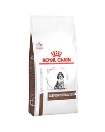 ROYAL CANIN Dog gastro intestinal junior - nourriture sèche pour chiots souffrant de troubles intestinaux aigus - 10 kg