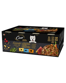 CESAR Natural Goodness Casserole Au poulet, au poisson blanc, à la dinde en sauce aux céréales complètes pour chiens adultes 12x400 g
