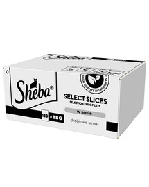SHEBA Selection Select Slices Saveurs de volaille 120x85 g en morceaux de sauce avec : canard, poulet, volaille, canard et dinde pour chats adultes
