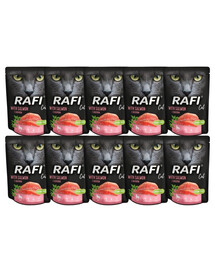 DOLINA NOTECI Rafi Cat nourriture humide pour chats avec saumon 10 x 300 g