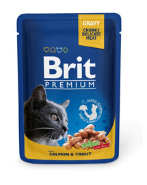 BRIT Premium Cat Adult with Salmon & Trout 24 x 100g