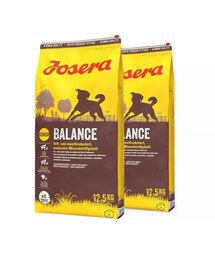 JOSERA Balance Pour les chiens âgés ou moins actifs 2x12,5kg
