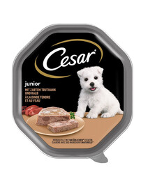 CESAR Junior tacka 150 g pâté à la dinde et au veau pour chiots
