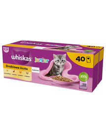WHISKAS Junior Drobiowa Uczta 40x85g nourriture humide avec du poulet, du canard, de la volaille et de la dinde en gelée pour chatons